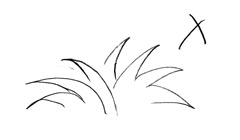 木と草の描き方 フリーランスデザイナーshimaのライフブログ