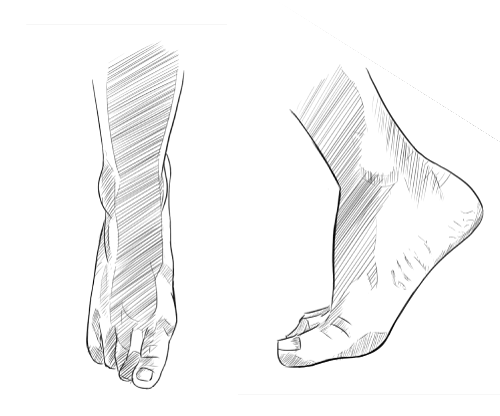 足の描き方